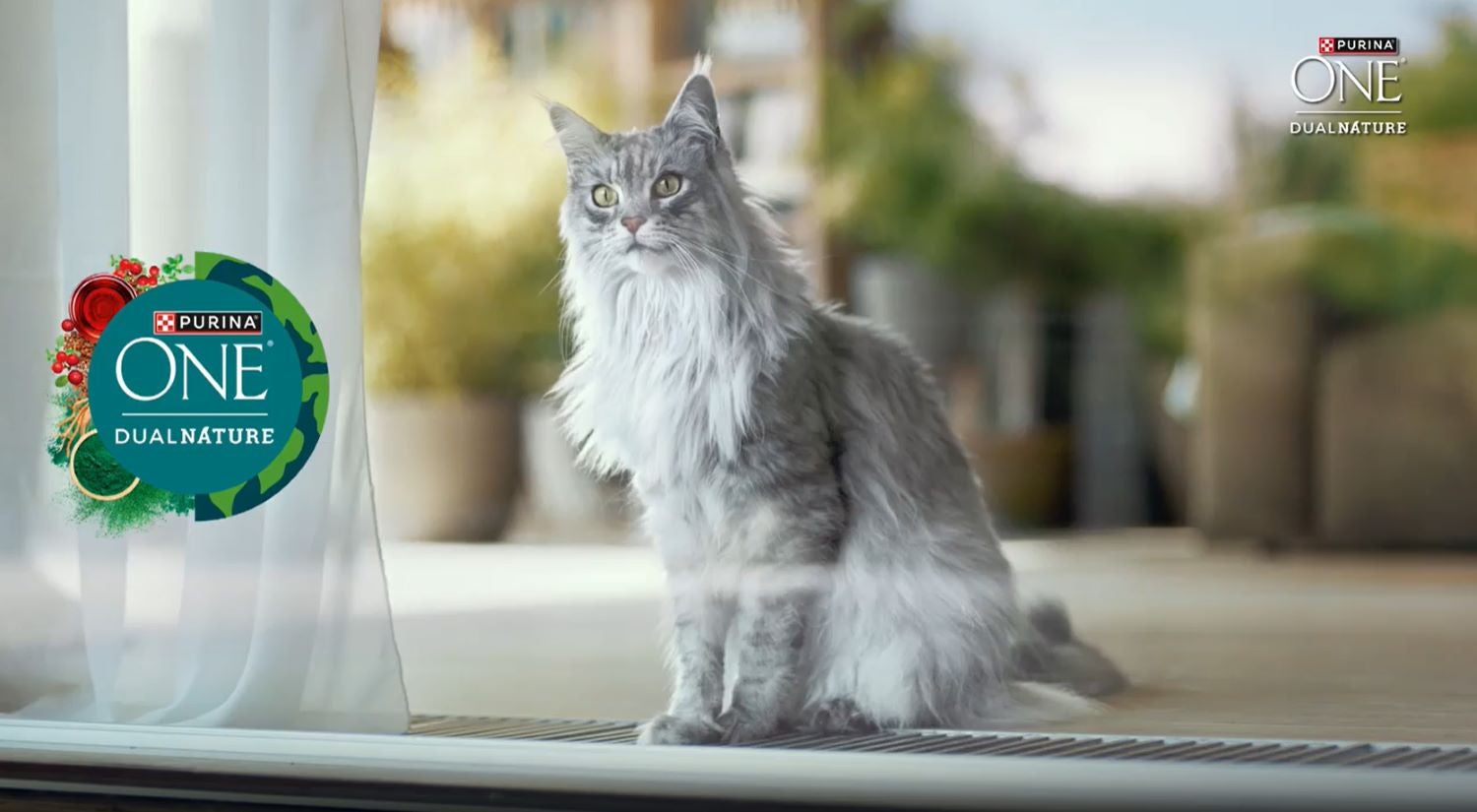 PURINA One Dual Nature Cashback Aktion