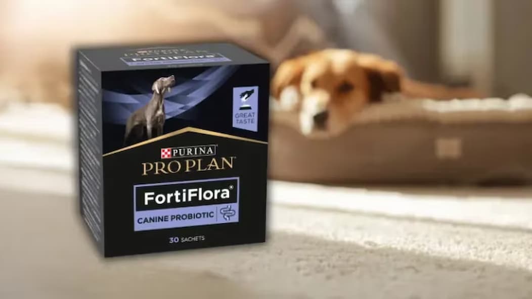Pro-plan Hund