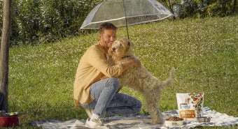 Hund frisst aus Futternapf beim BENEFUL Hundefutter Test für Tasty Grainfree