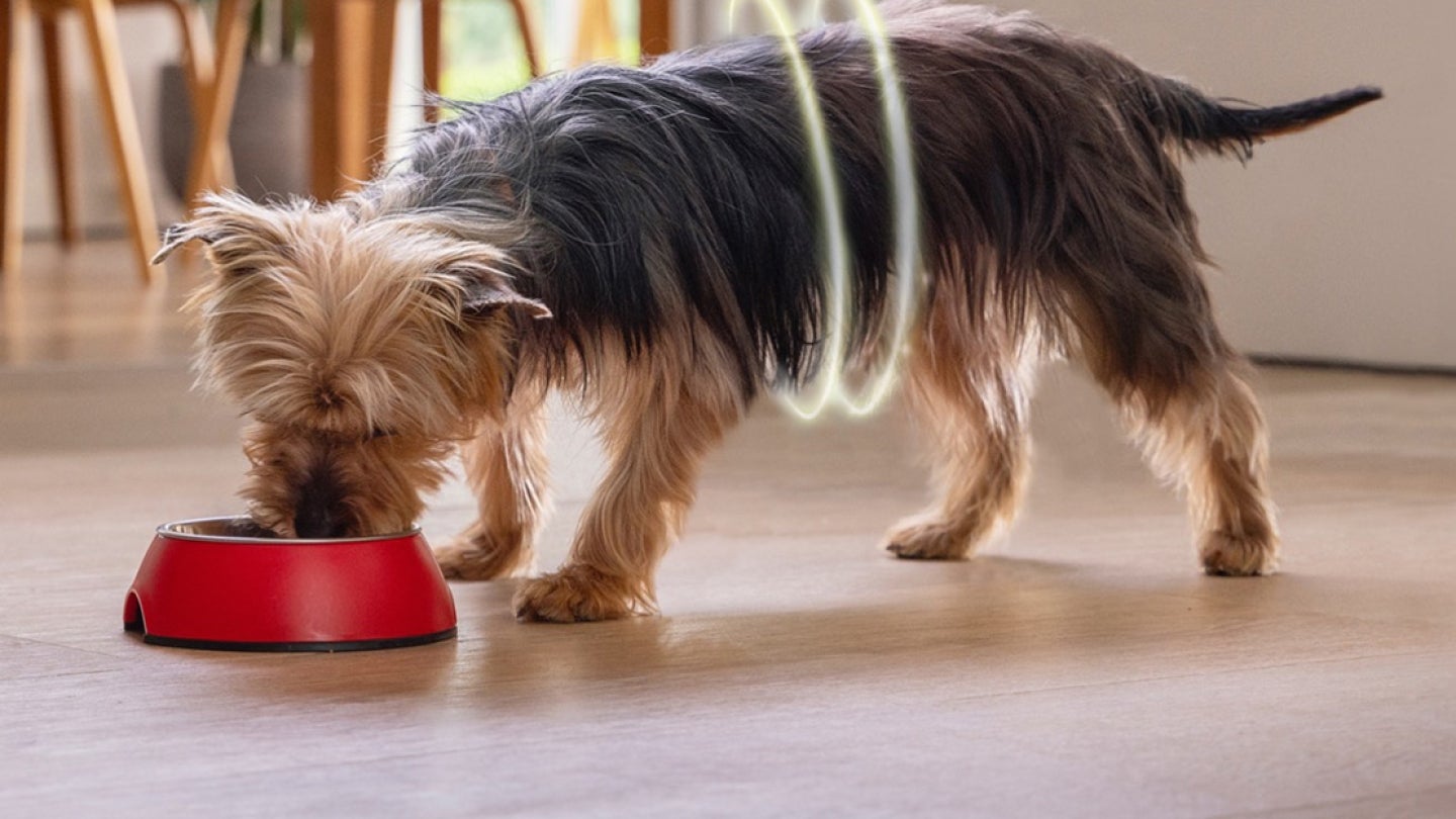 PURINA ONE Dog MINI Produkttest