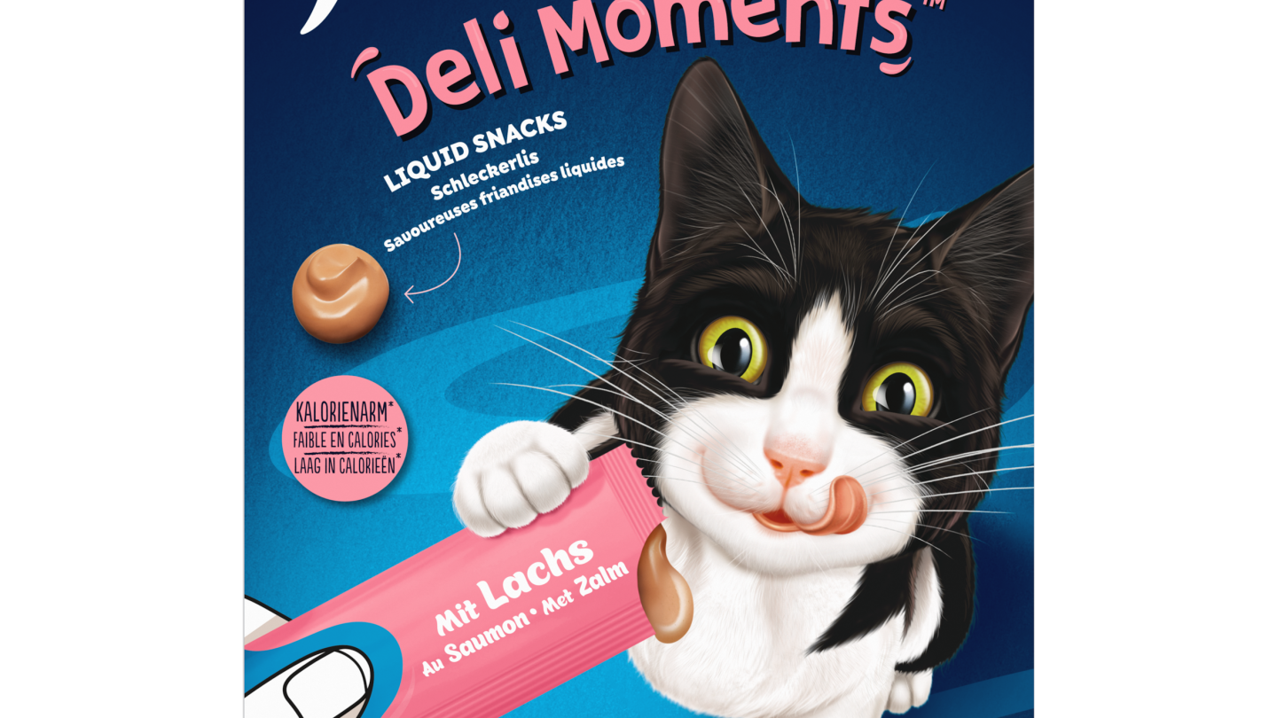 Bild 08445291537880 C1N1 260276801