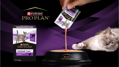 Purina Pro Plan Produkttest