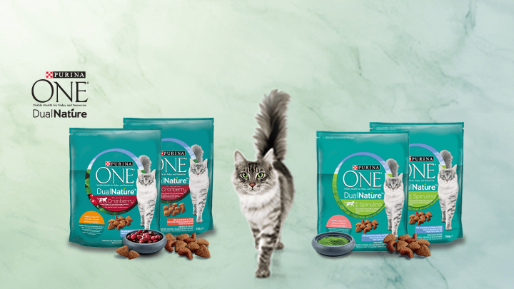 Grau getigerte Katze zwischen mehreren DualNature™ Sorten von Purina ONE®