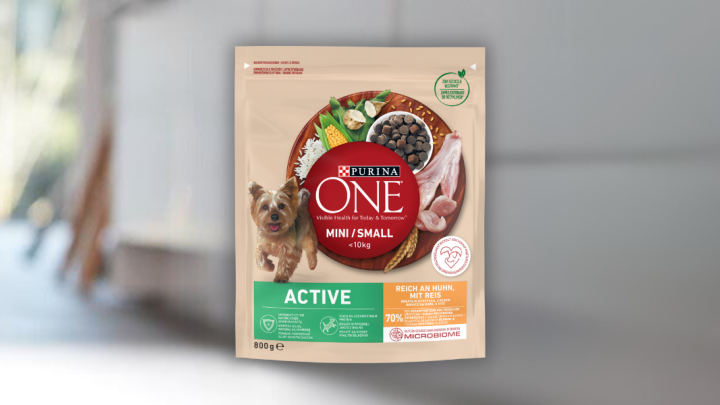 PURINA ONE MINI/SMALL Active