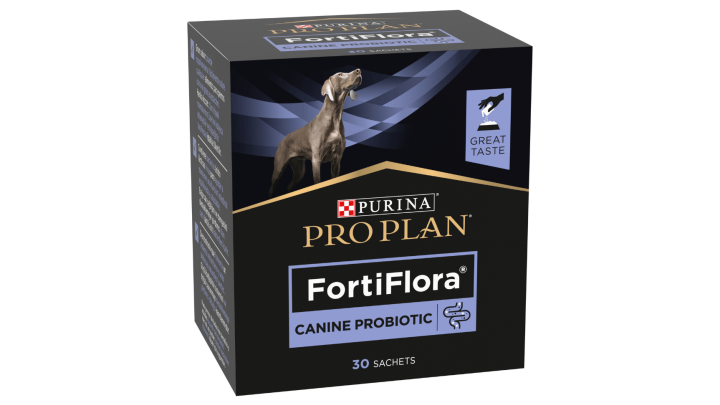 Bild Homepage 20Bilder