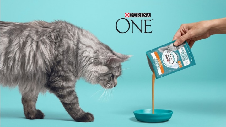 Purina One Hydralife Produkttest