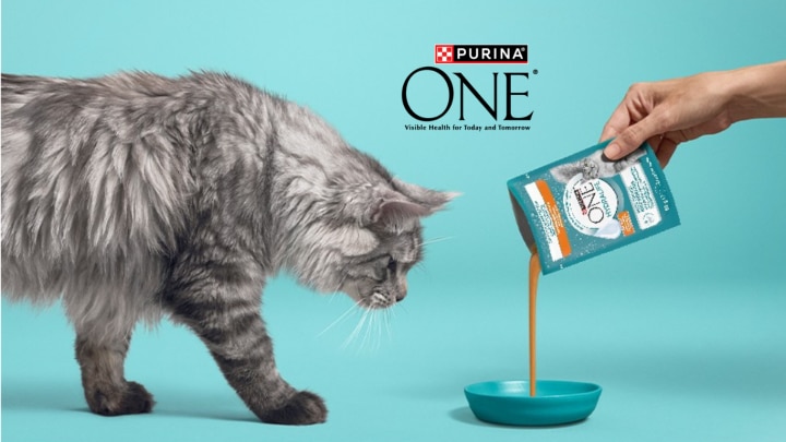 Purina One Hydralife Produkttest