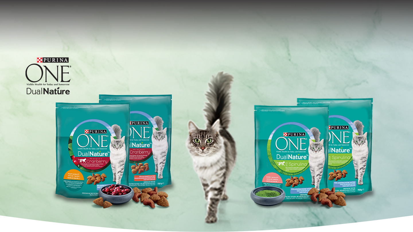 Grau getigerte Katze zwischen mehreren DualNature™ Sorten von Purina ONE®