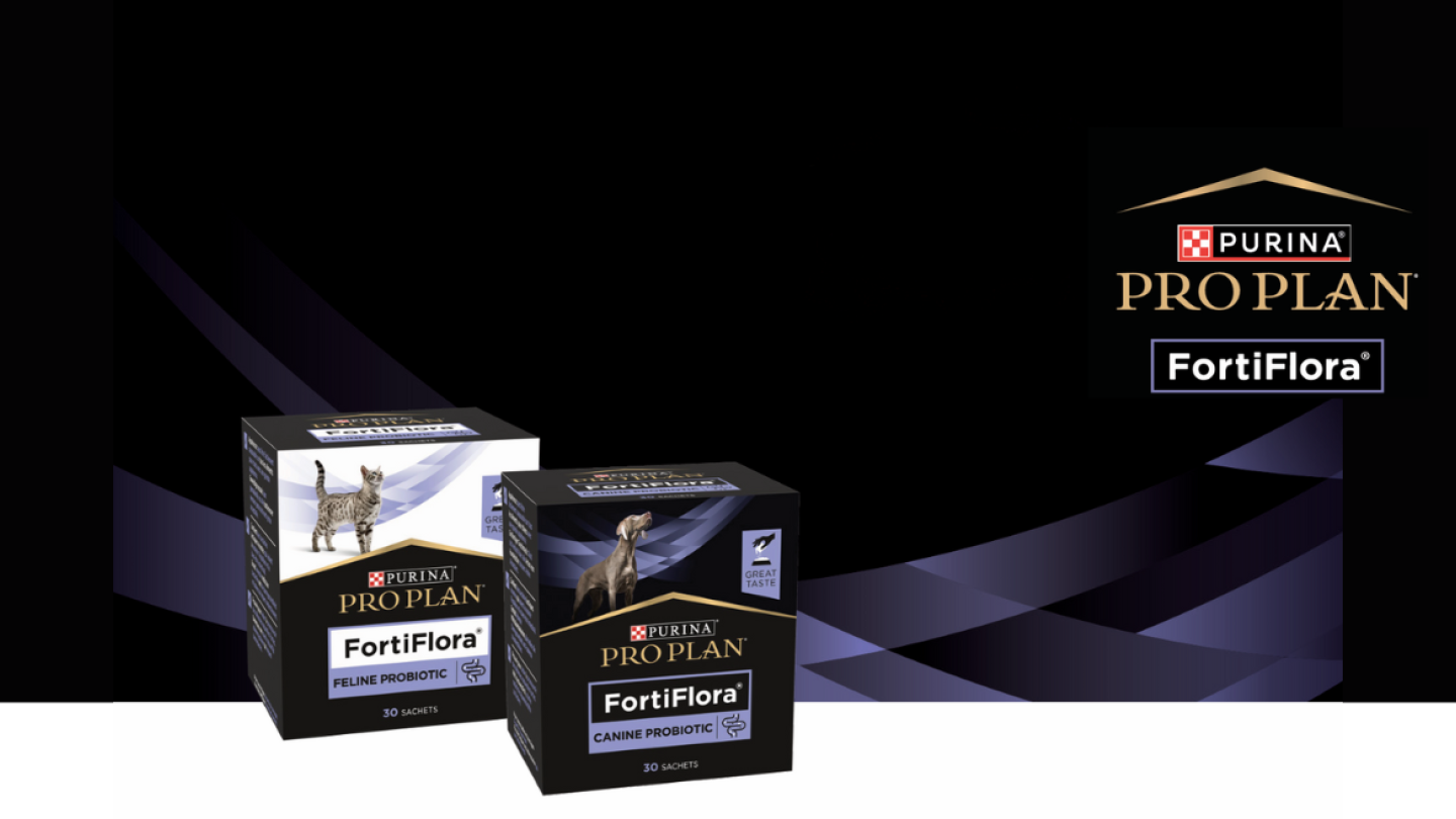 Bild Purina proplan header 20 281 29