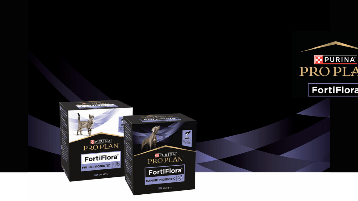 Bild Purina proplan header