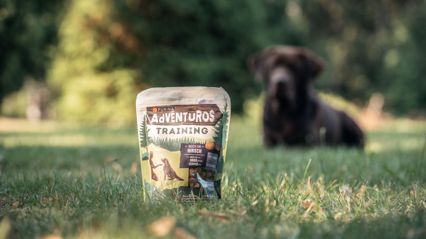 Bild Adventuros25 12872