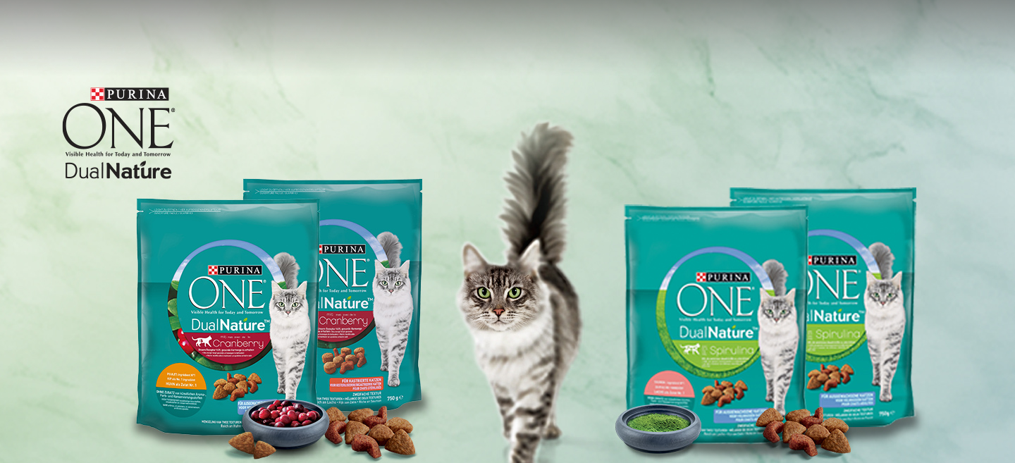 Grau getigerte Katze zwischen mehreren DualNature™ Sorten von Purina ONE®