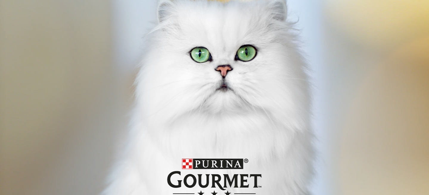 Purina Gourmet Umfrage zu Kaufverhalten bei Katzennahrung