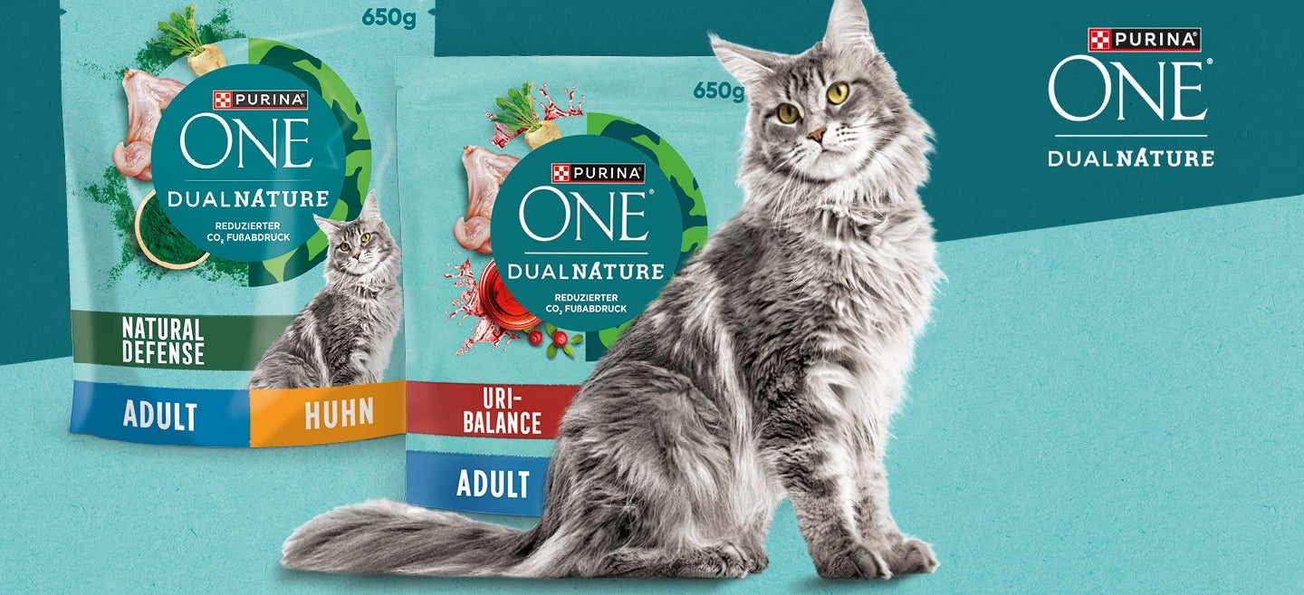 Grau getigerte Katze von der Seite mit DualNature™ Testpaket